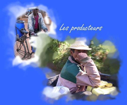 Les producteurs laitiers malgaches
